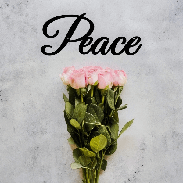 Peace-Steel-Word-Roses