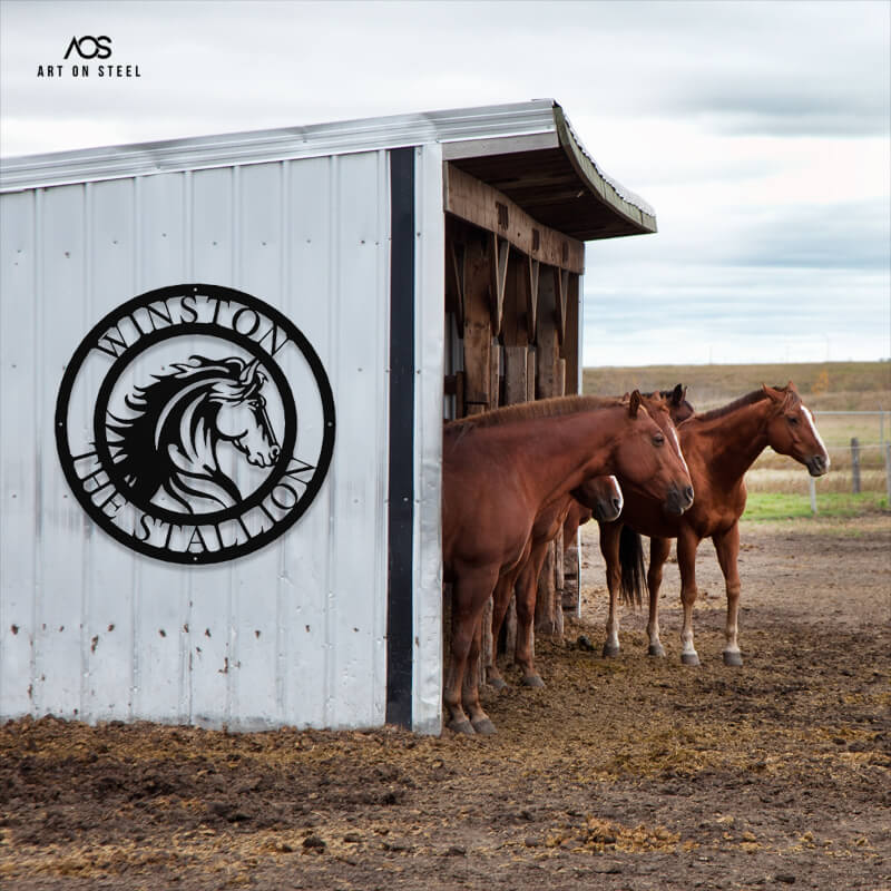 Custom horse metal wall art sign – black steel round plaque with horse head design and personalized text Winston the Stallion, perfect for stables, barns, or equestrian décor by Art on Steel, South Africa."\