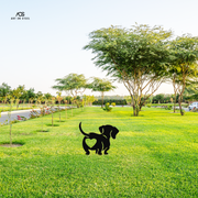 Dachshund 2 | Garden Decor