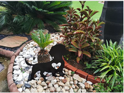 Dachshund | Garden Decor