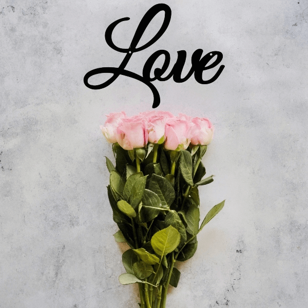 Love-steel-word-above-roses